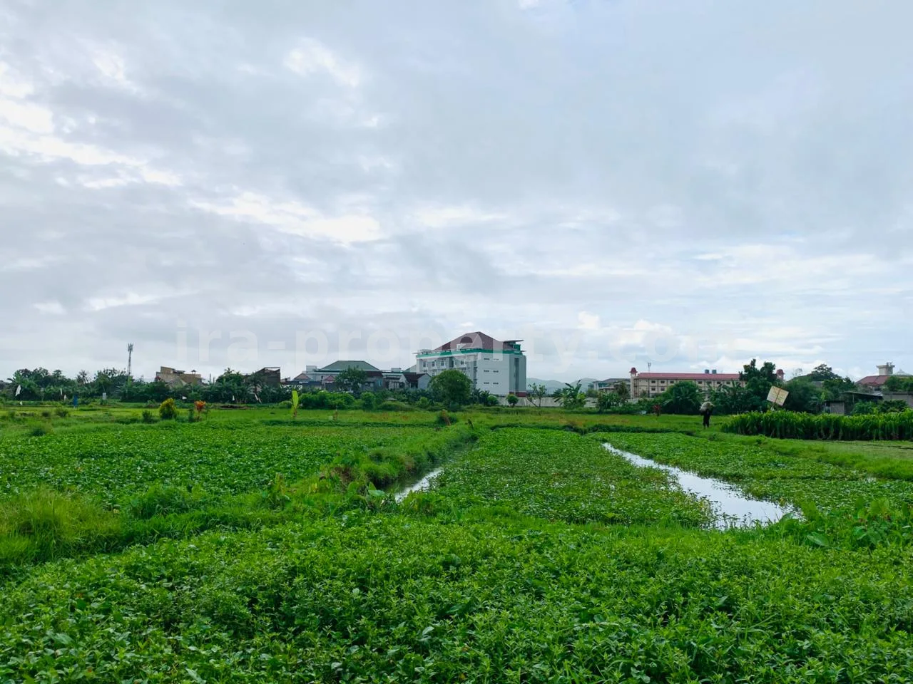 Strategic Land Near Muhammadiyah University – Pagesangan, Mataram