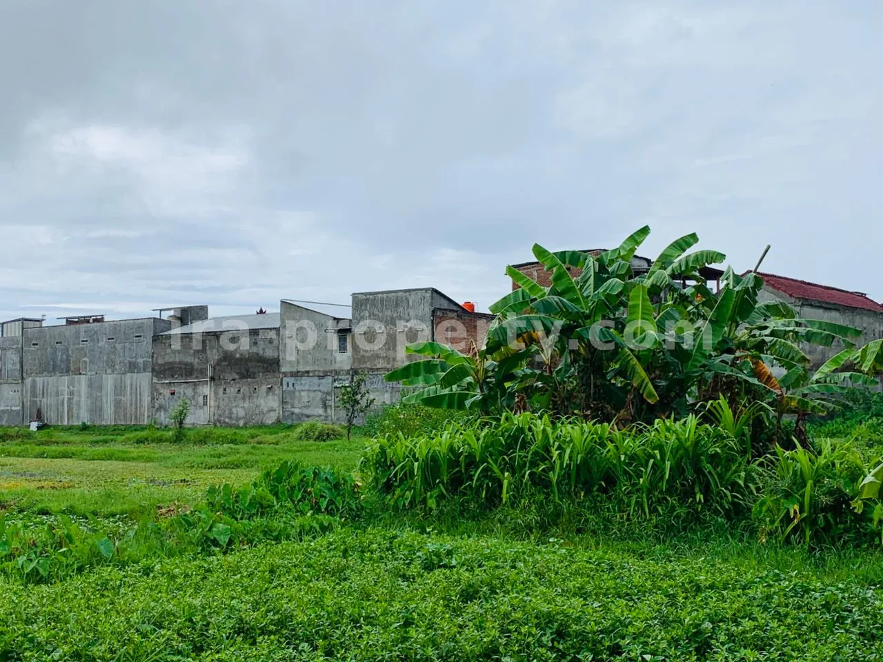 Strategic Land Near Muhammadiyah University – Pagesangan, Mataram