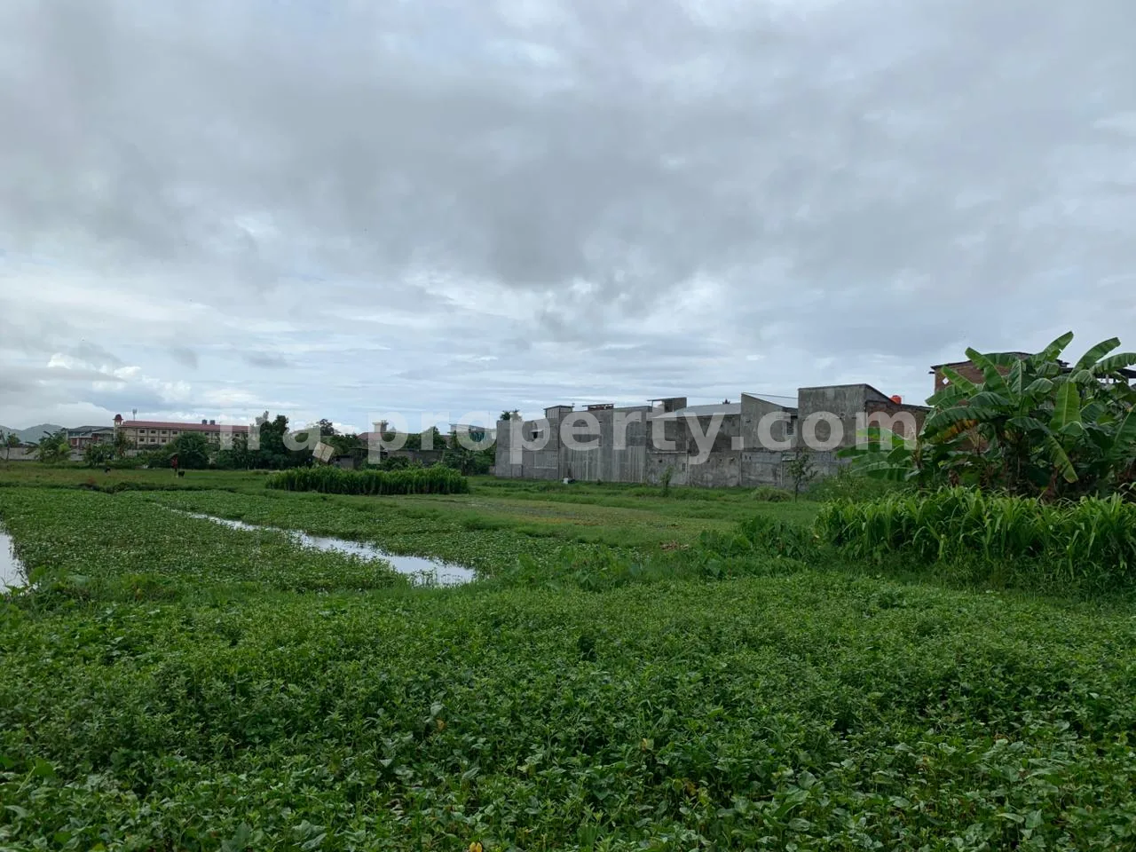 Strategic Land Near Muhammadiyah University – Pagesangan, Mataram