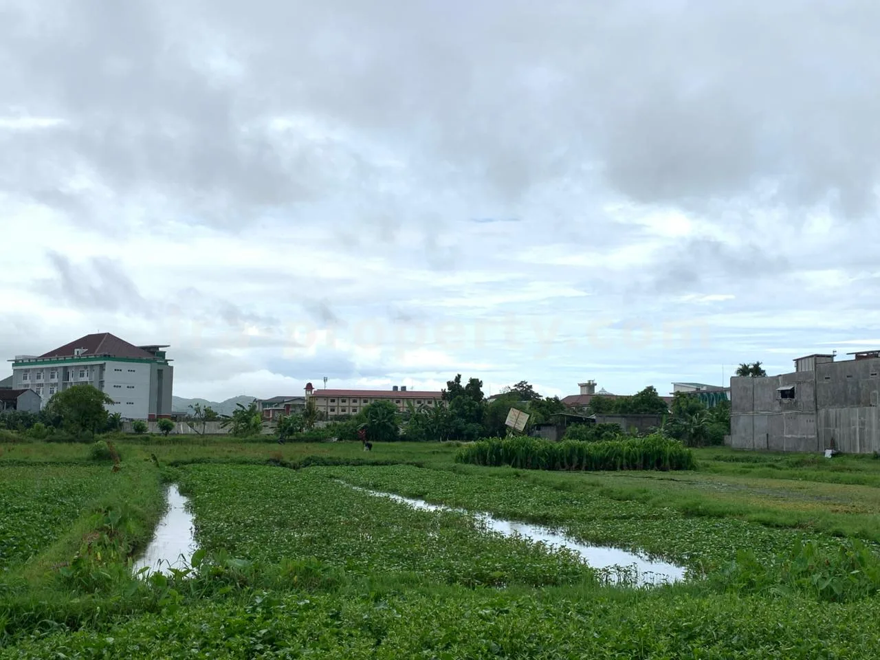 Strategic Land Near Muhammadiyah University – Pagesangan, Mataram
