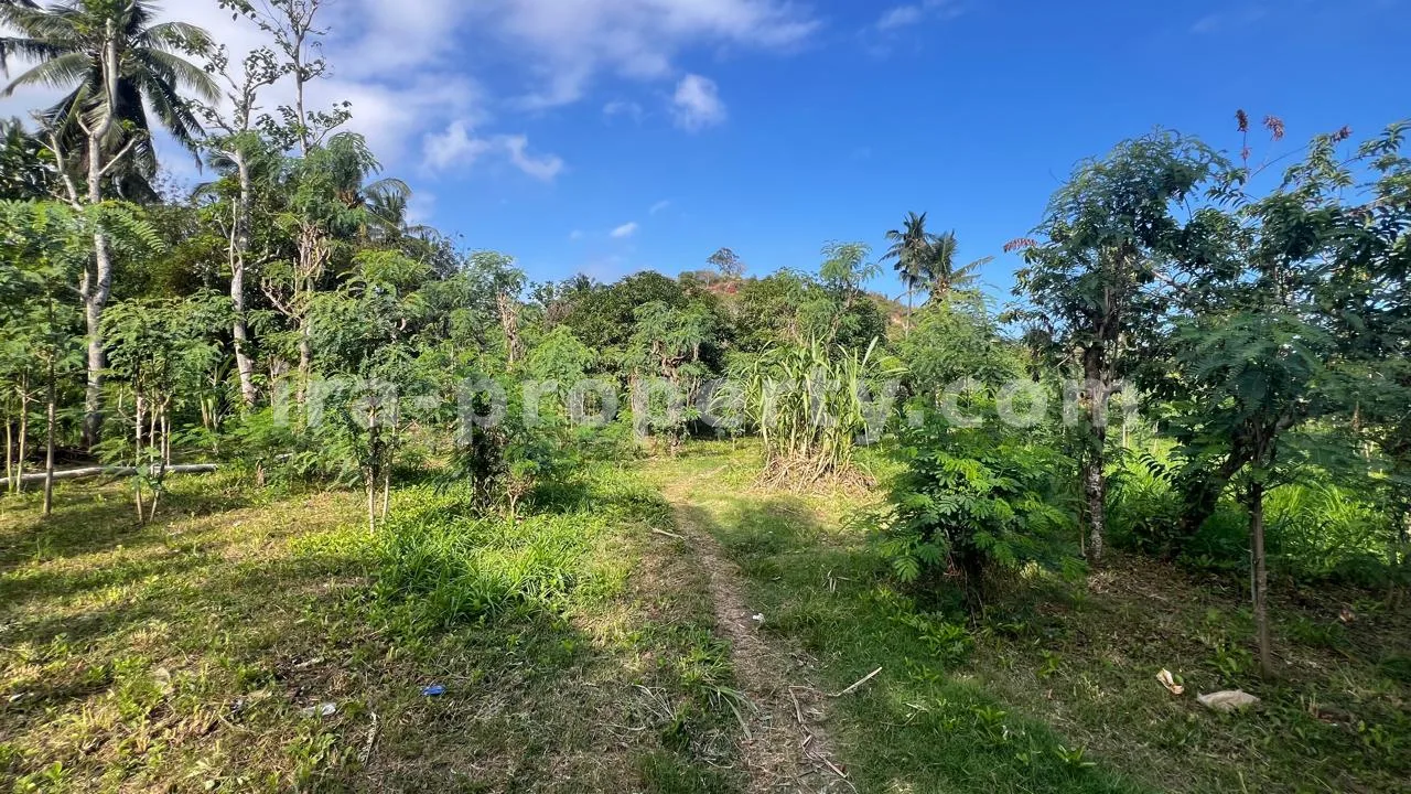 Ocean-View Land Plots in Prabu Areguling near Kuta Mandalika