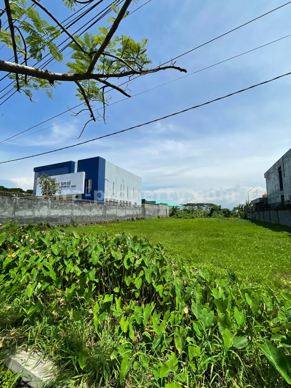 Prime Roadside Land for Sale – Lingkar Selatan, Mataram