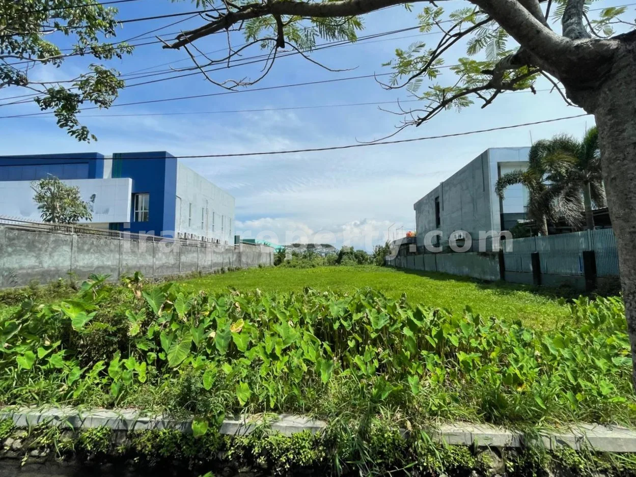 Prime Roadside Land for Sale – Lingkar Selatan, Mataram