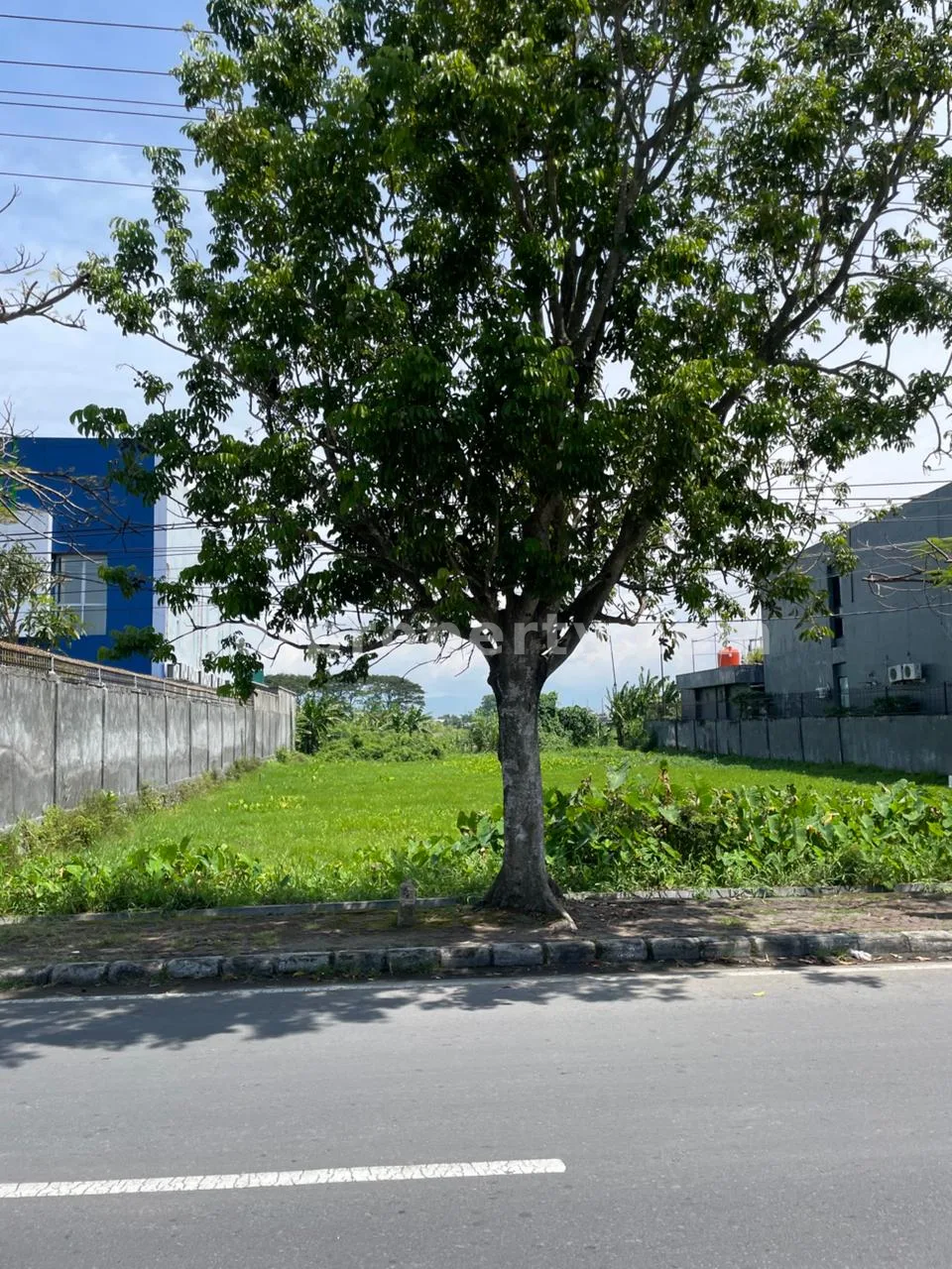 Prime Roadside Land for Sale – Lingkar Selatan, Mataram
