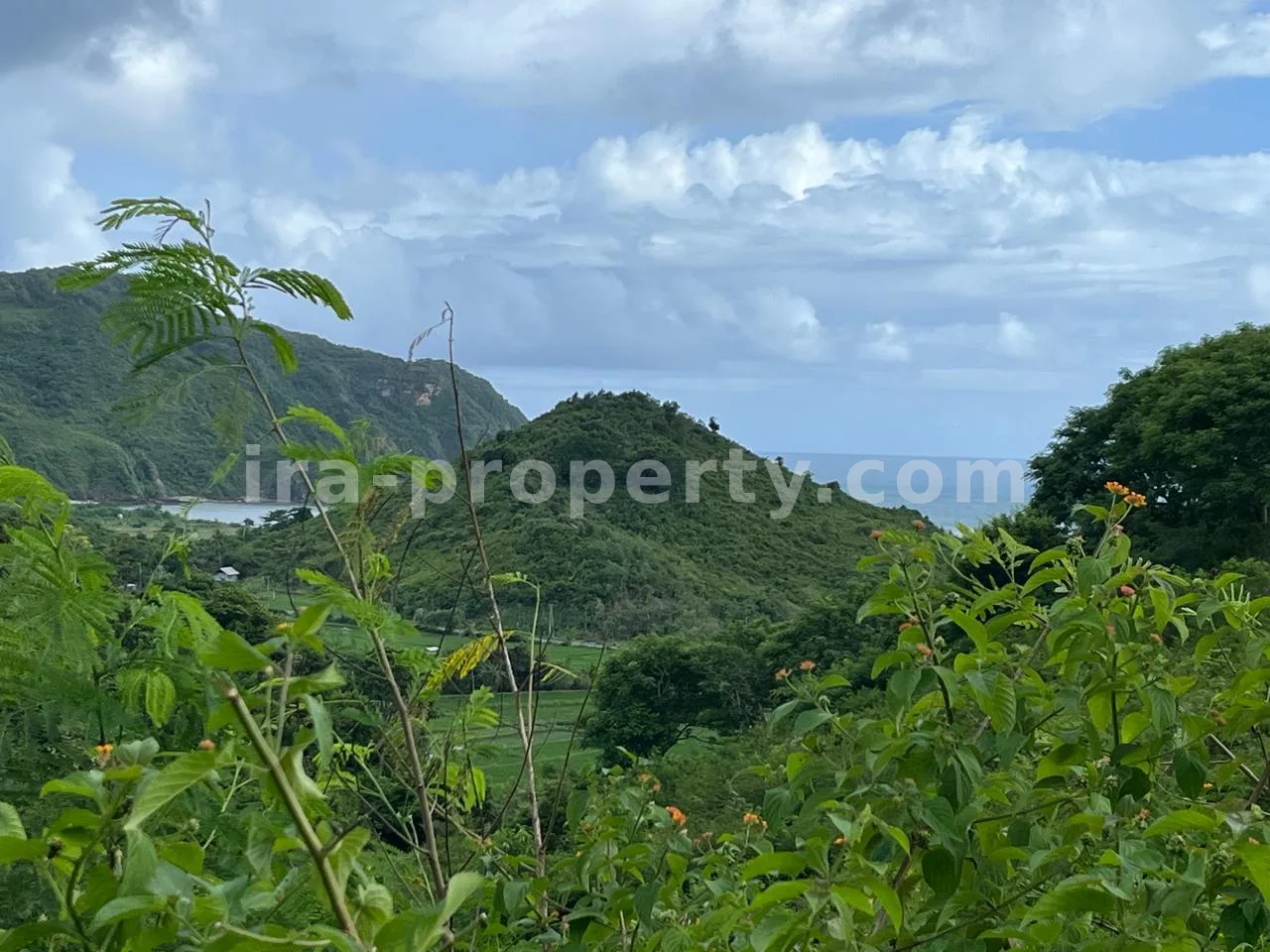 Premium Hill Land with Ocean View – Mawun near Kuta Mandalika