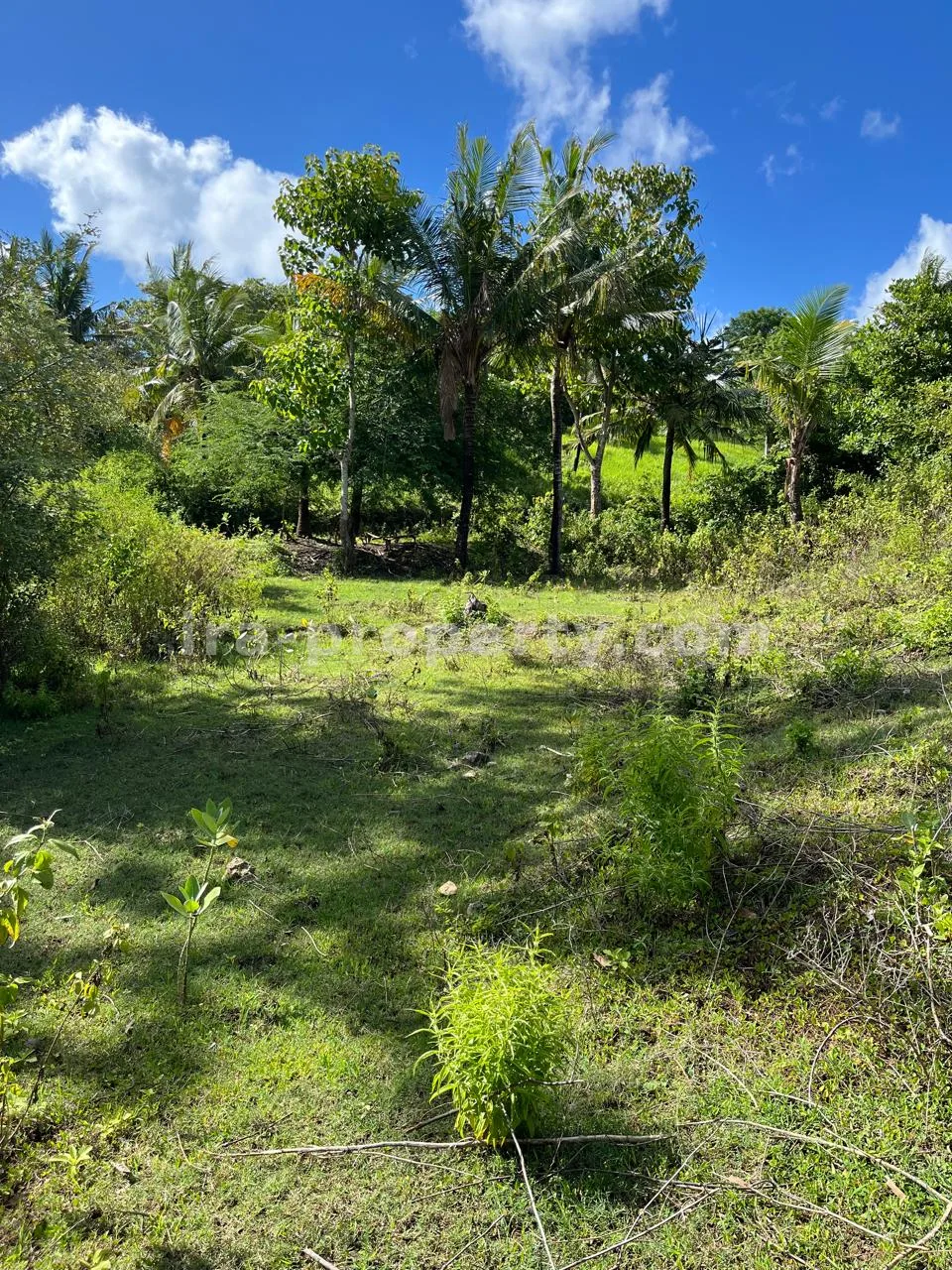 Premium Hill Land with Ocean View – Mawun near Kuta Mandalika