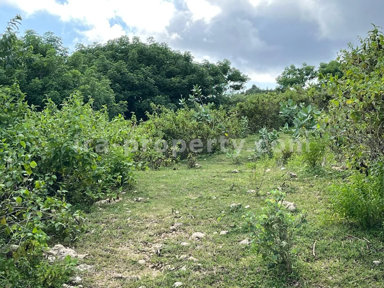 Premium Hill Land with Ocean View – Mawun near Kuta Mandalika