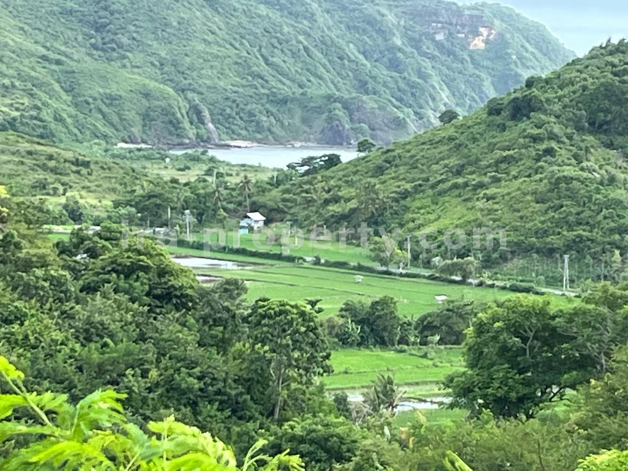 Premium Hill Land with Ocean View – Mawun near Kuta Mandalika
