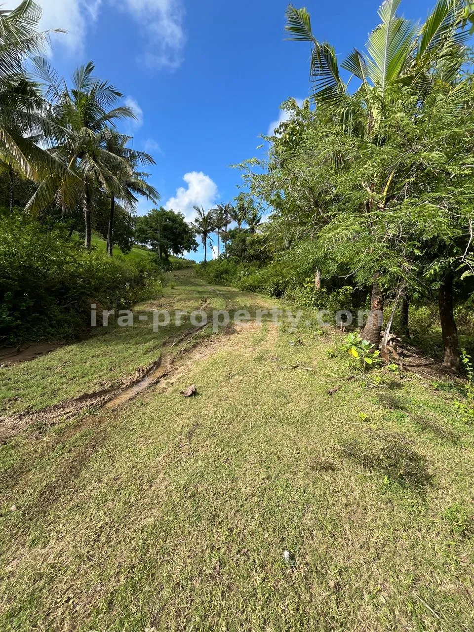 Premium Hill Land with Ocean View – Mawun near Kuta Mandalika