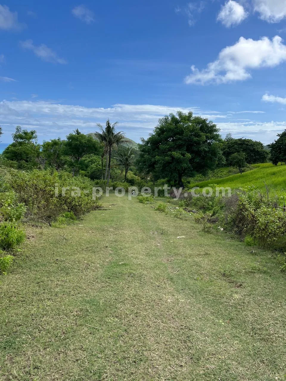 Premium Hill Land with Ocean View – Mawun near Kuta Mandalika