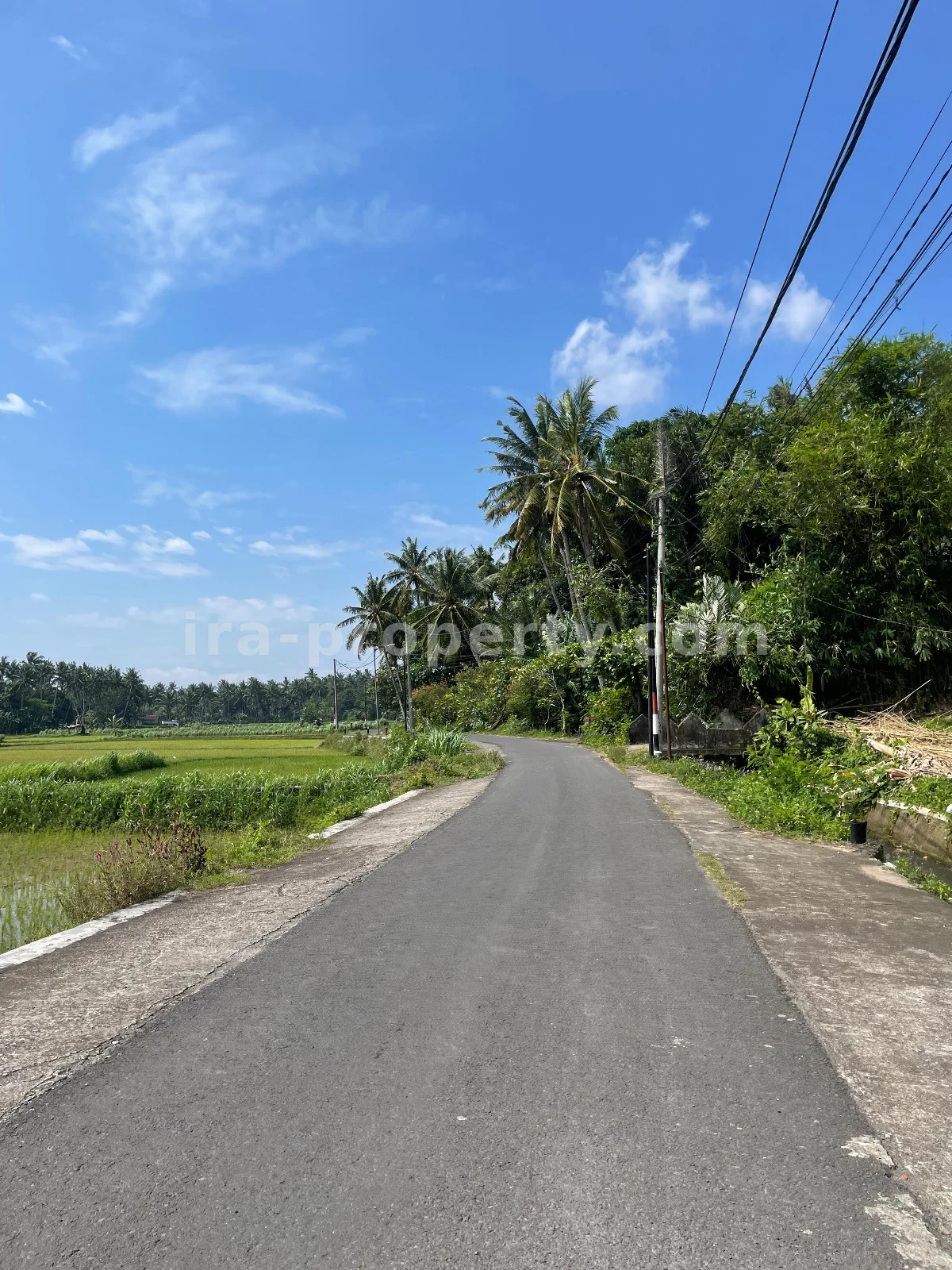 Ricefield View Land for Sale in Gunung Sari – Ideal for Private Villa