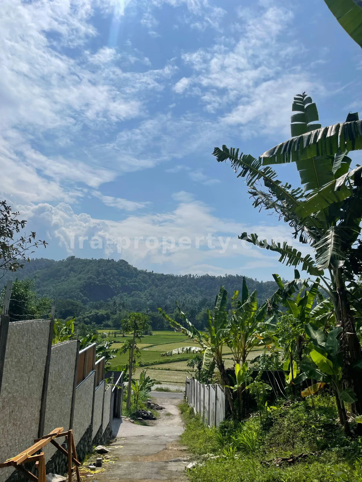 Ricefield View Land for Sale in Gunung Sari – Ideal for Private Villa