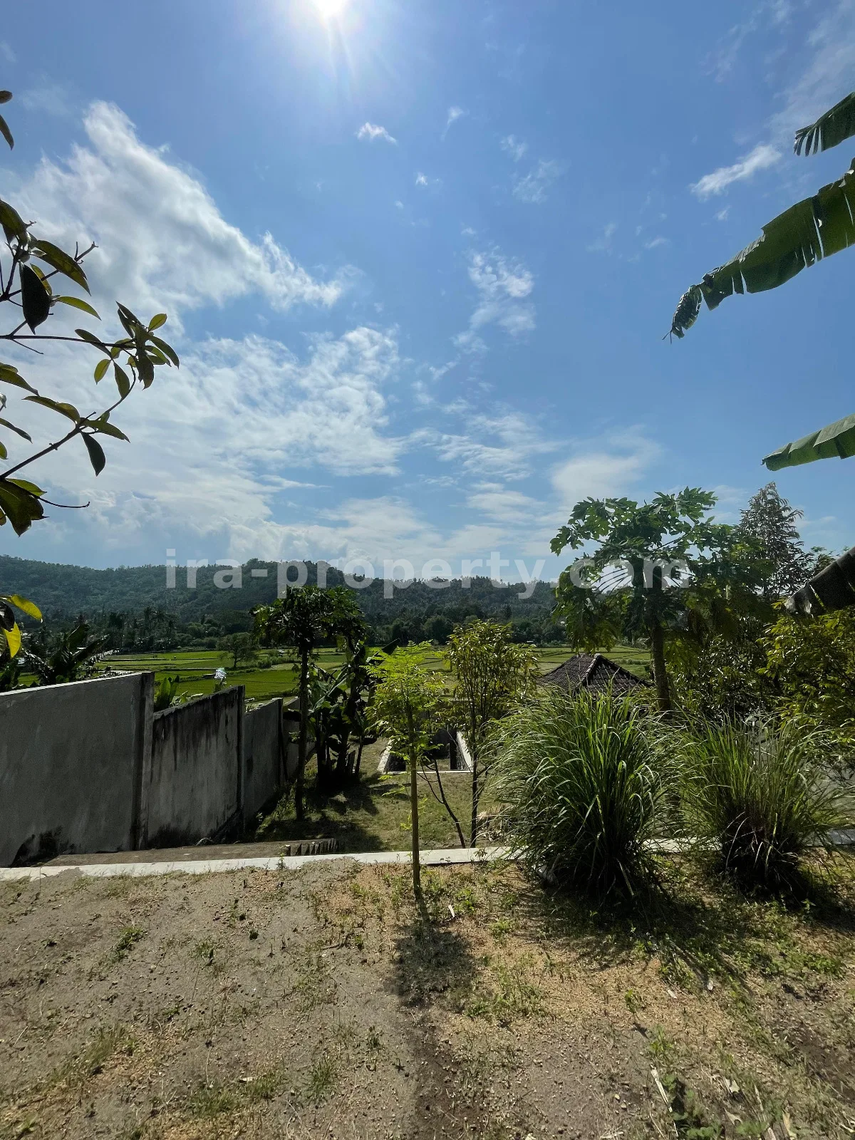 Ricefield View Land for Sale in Gunung Sari – Ideal for Private Villa