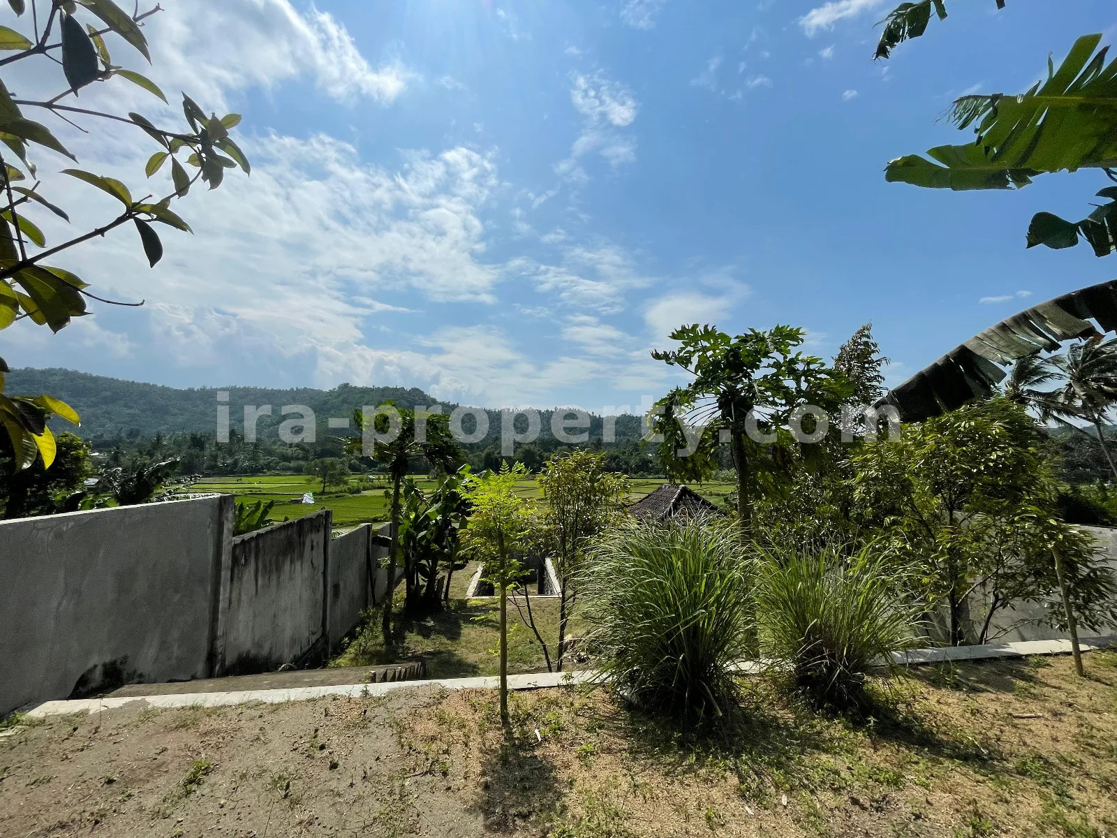 Ricefield View Land for Sale in Gunung Sari – Ideal for Private Villa