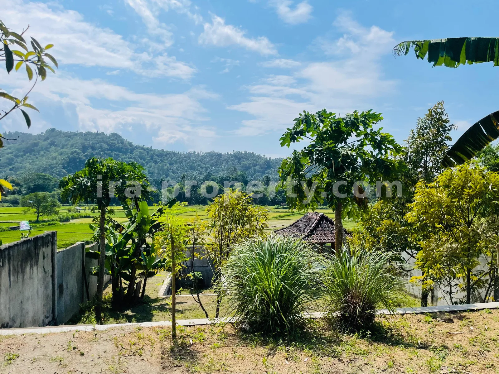 Ricefield View Land for Sale in Gunung Sari – Ideal for Private Villa