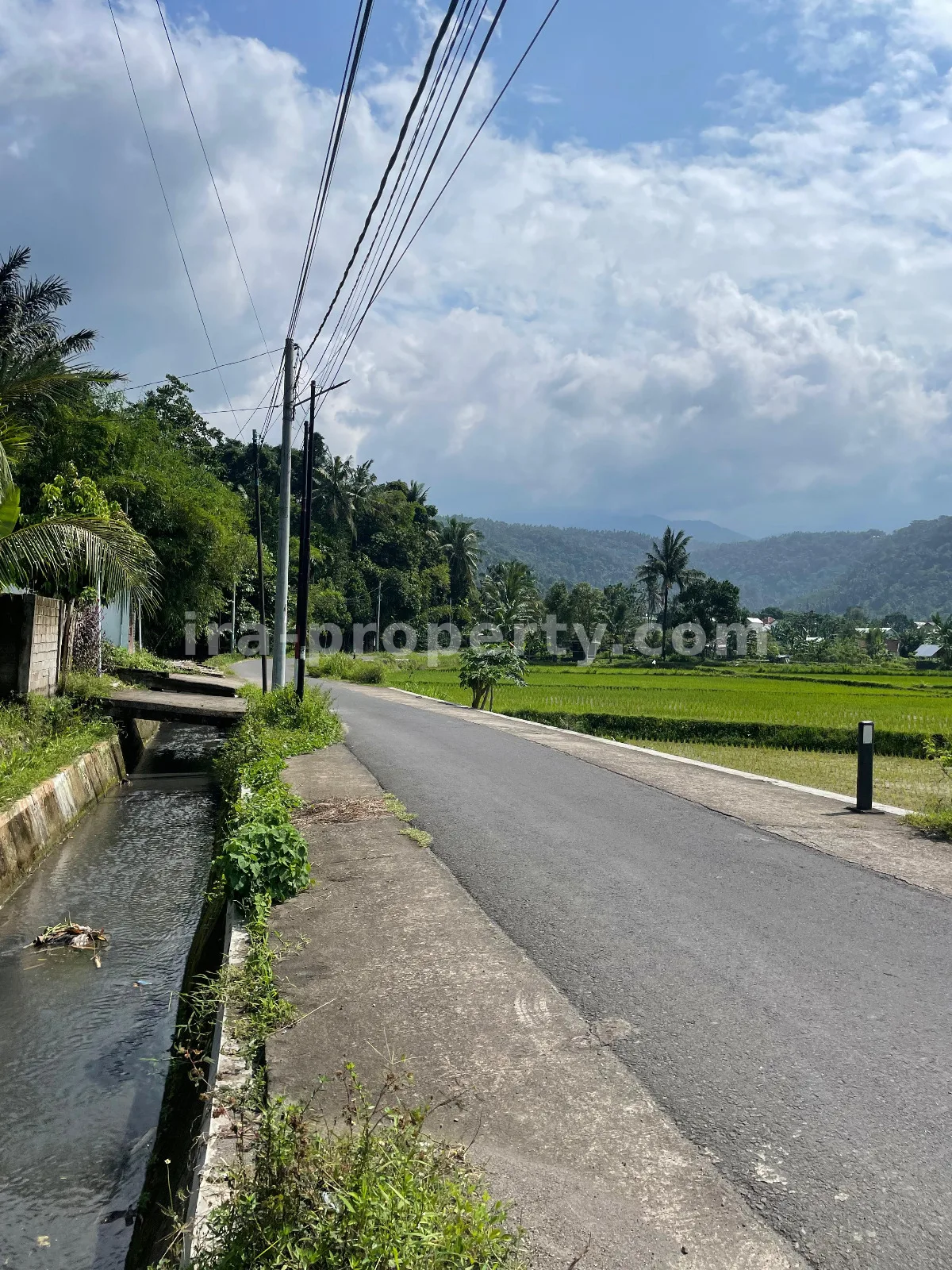 Ricefield View Land for Sale in Gunung Sari – Ideal for Private Villa