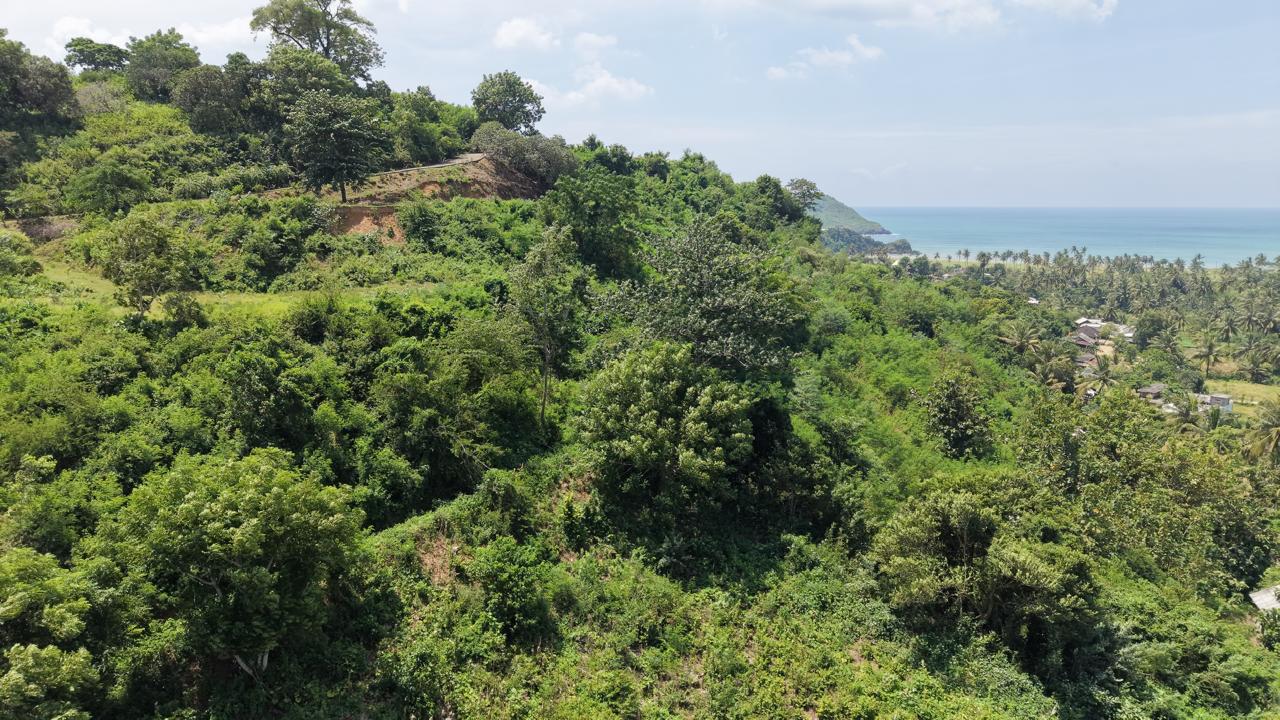 Hilltop Ocean View Land in Areguling – Near Kuta Mandalika