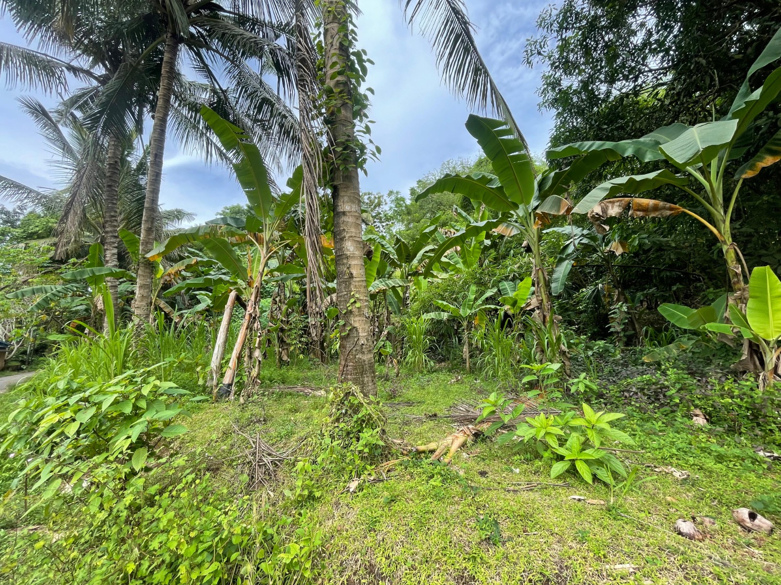 Hilltop Ocean View Land in Areguling – Near Kuta Mandalika