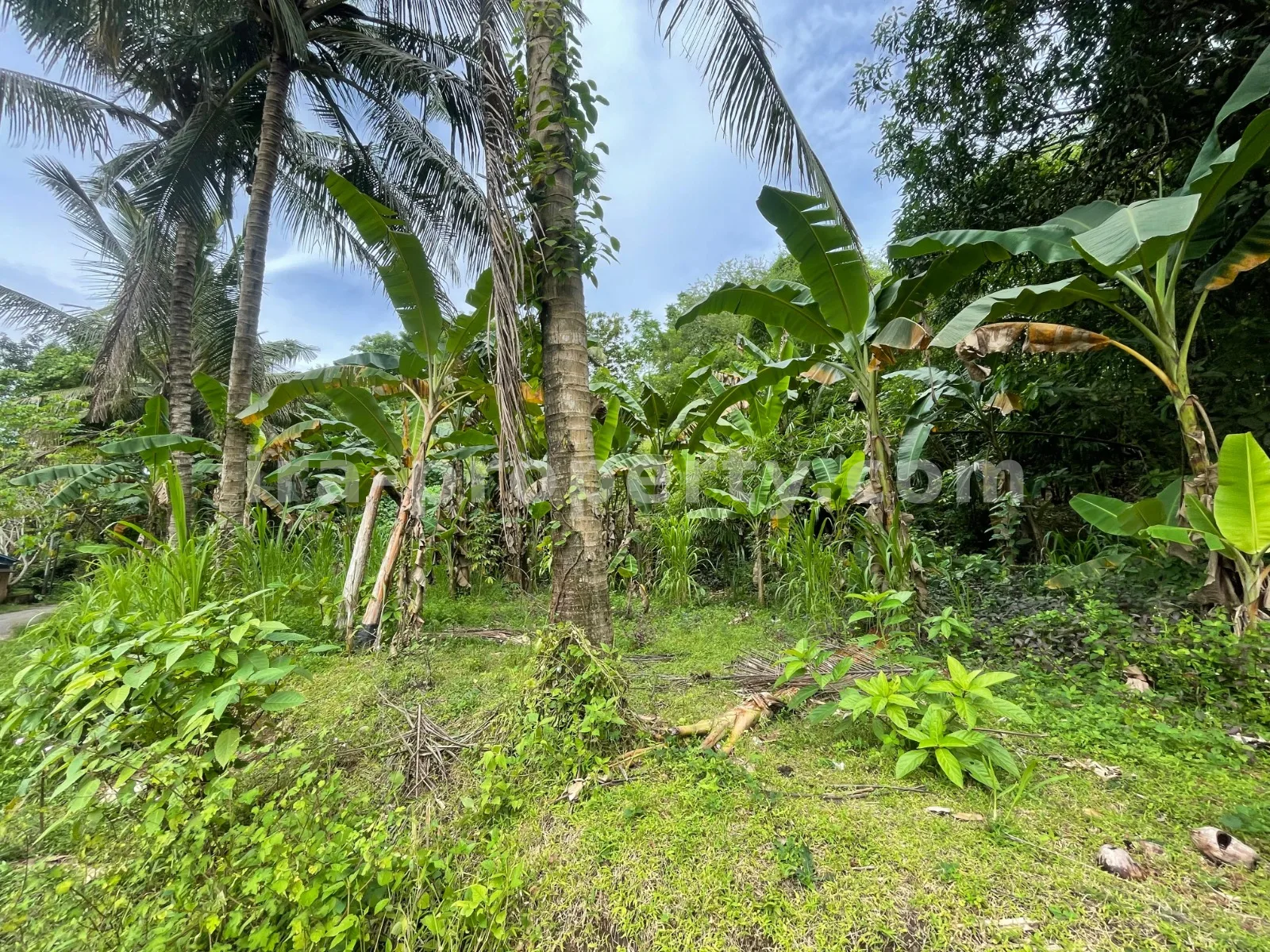 Hilltop Ocean View Land in Areguling – Near Kuta Mandalika