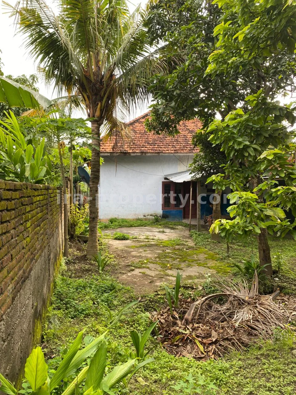 House for Sale in Pejeruk – Ampenan, Mataram