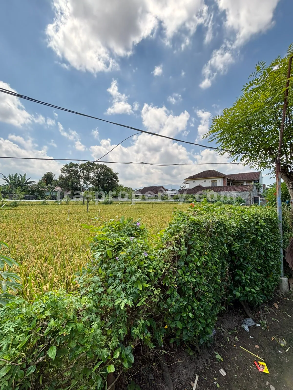 Affordable Multi-Story Home in Udayana, Mataram – Prime Lifestyle Location