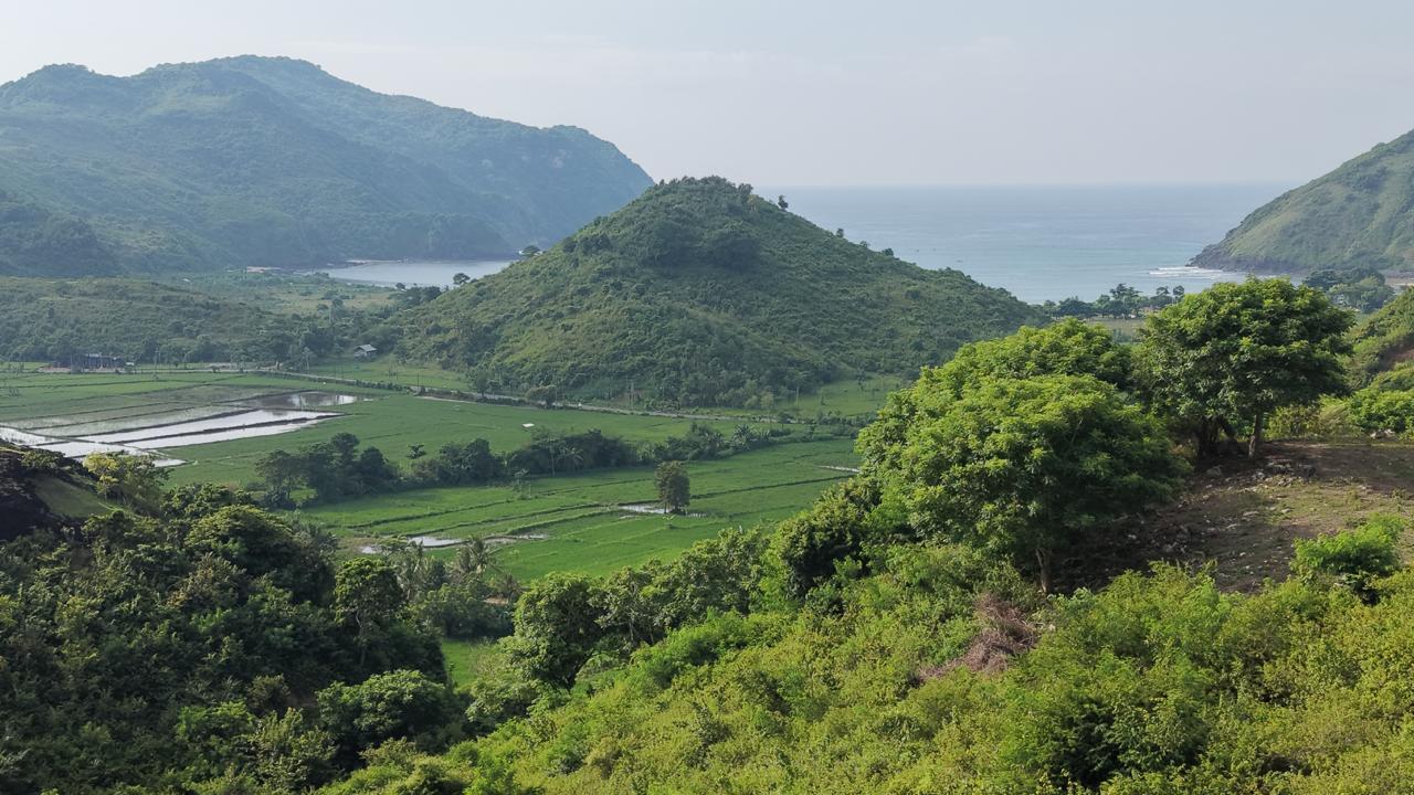 Prime 5-Are Hilltop Plot with Ocean & Ricefield Views – Mawun, Near Kuta Mandalika