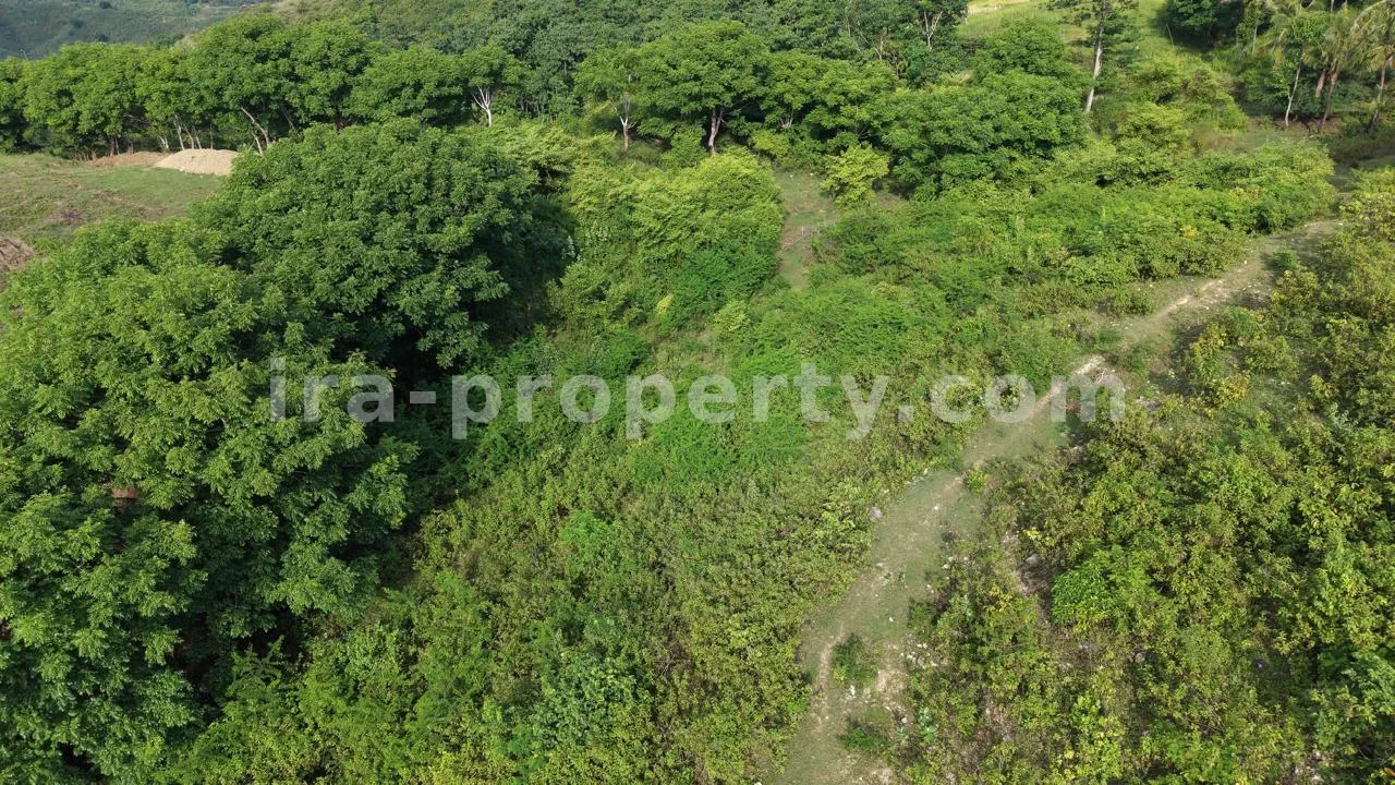 Prime 5-Are Hilltop Plot with Ocean & Ricefield Views – Mawun, Near Kuta Mandalika