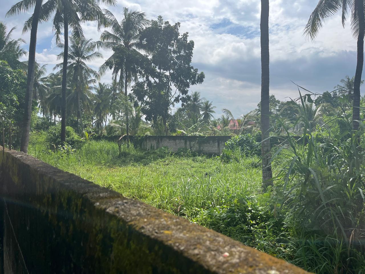 Secure 1,000 m² Villa Plot Near Kuta Mandalika – Fully Fenced & Ready for Development