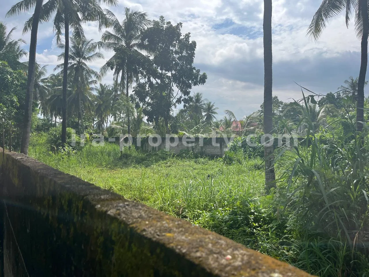 Secure 1,000 m² Villa Plot Near Kuta Mandalika – Fully Fenced & Ready for Development