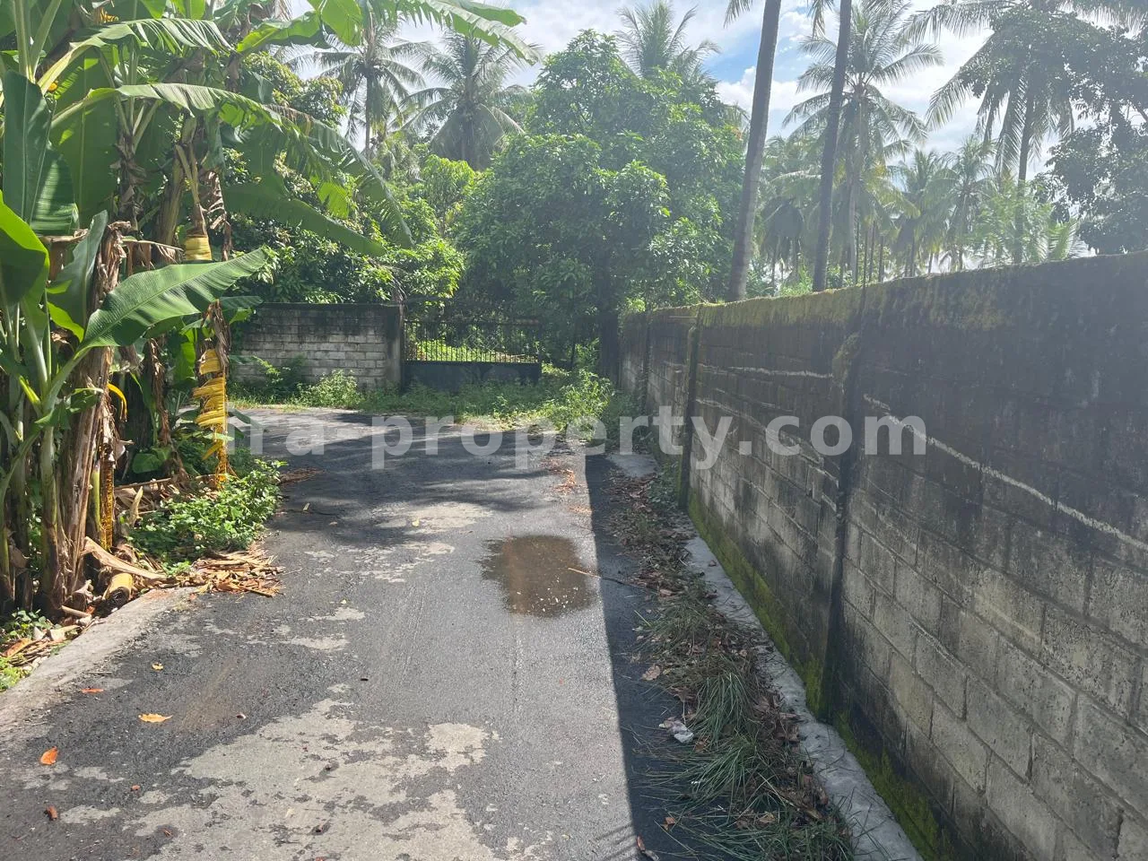 Secure 1,000 m² Villa Plot Near Kuta Mandalika – Fully Fenced & Ready for Development