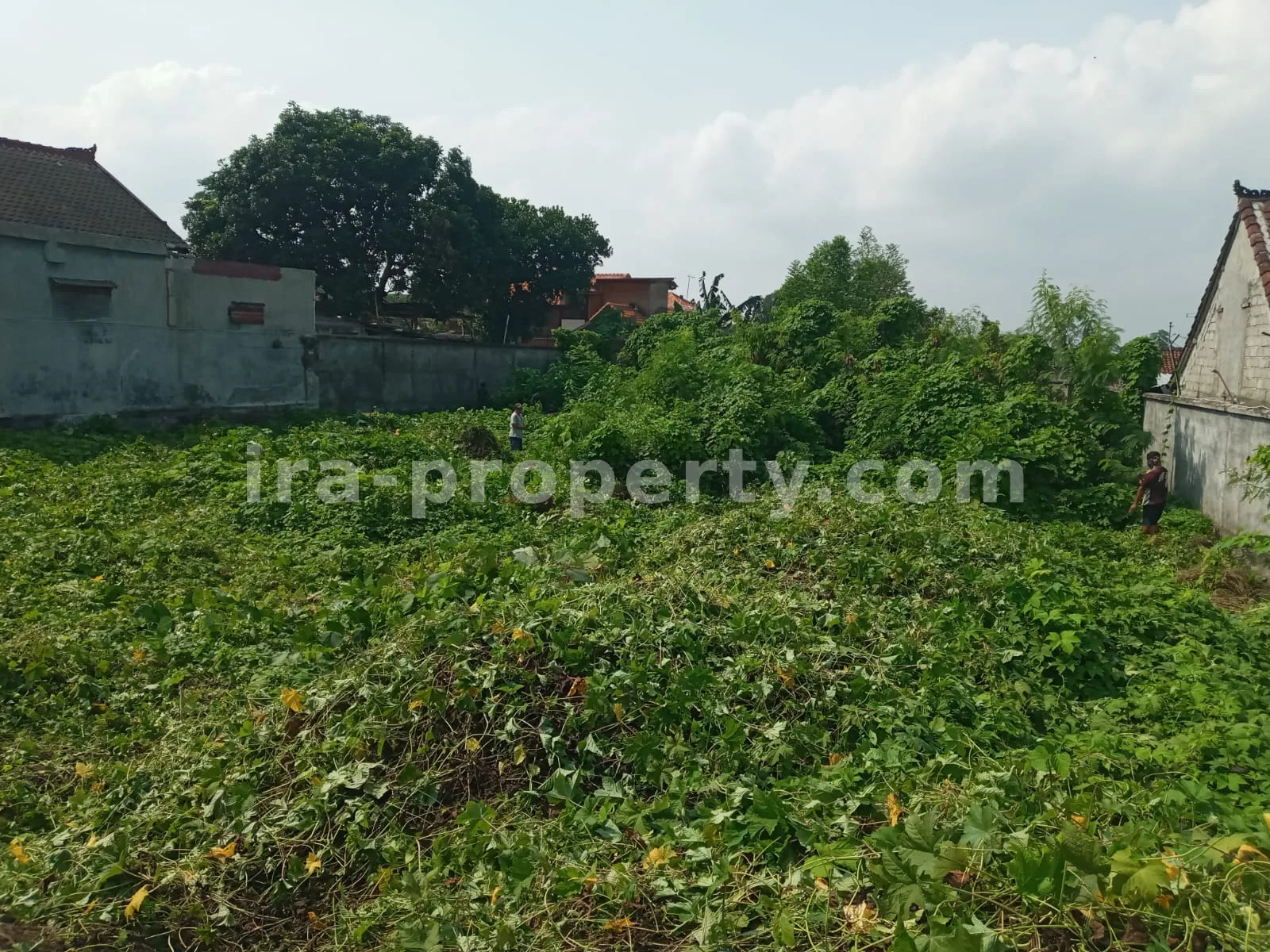 Premium Warehouse Complex for Rent – Strategic Distribution Hub in Central Mataram