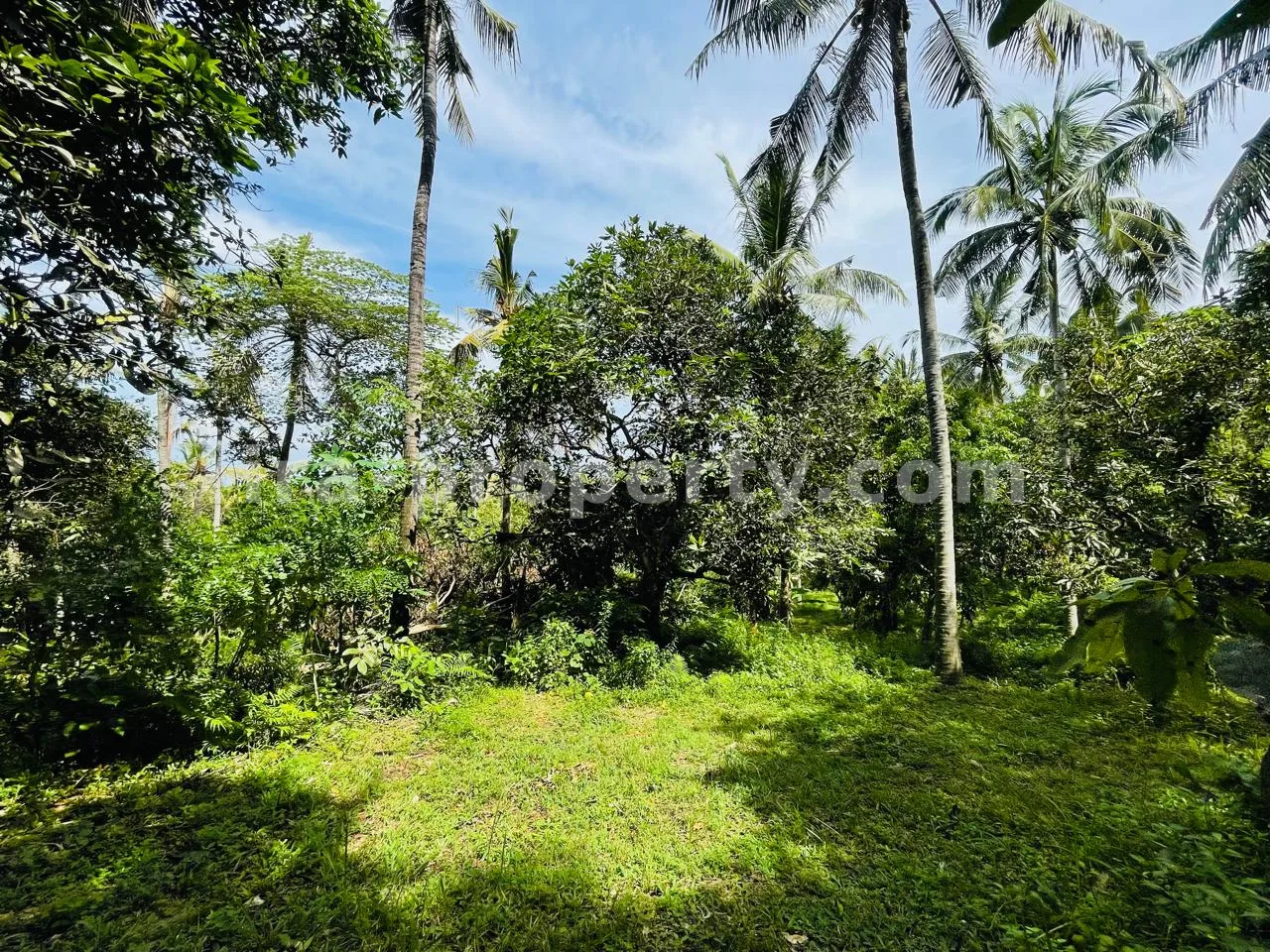 Prime Ocean View Plot in Melase – Strategic Hillside Near Melase Hill Villa Complex