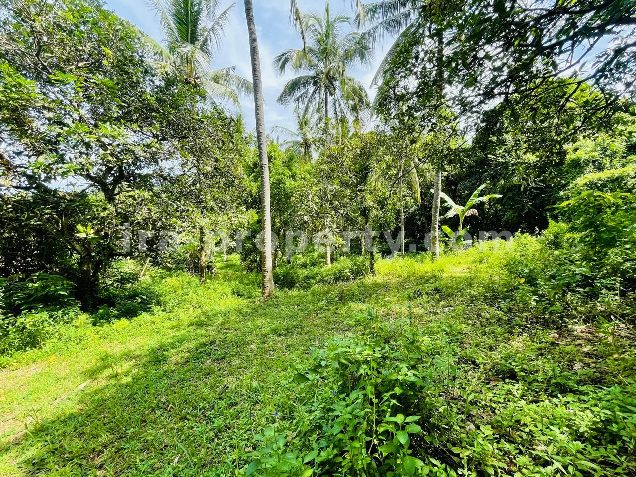 Prime Ocean View Plot in Melase – Strategic Hillside Near Melase Hill Villa Complex