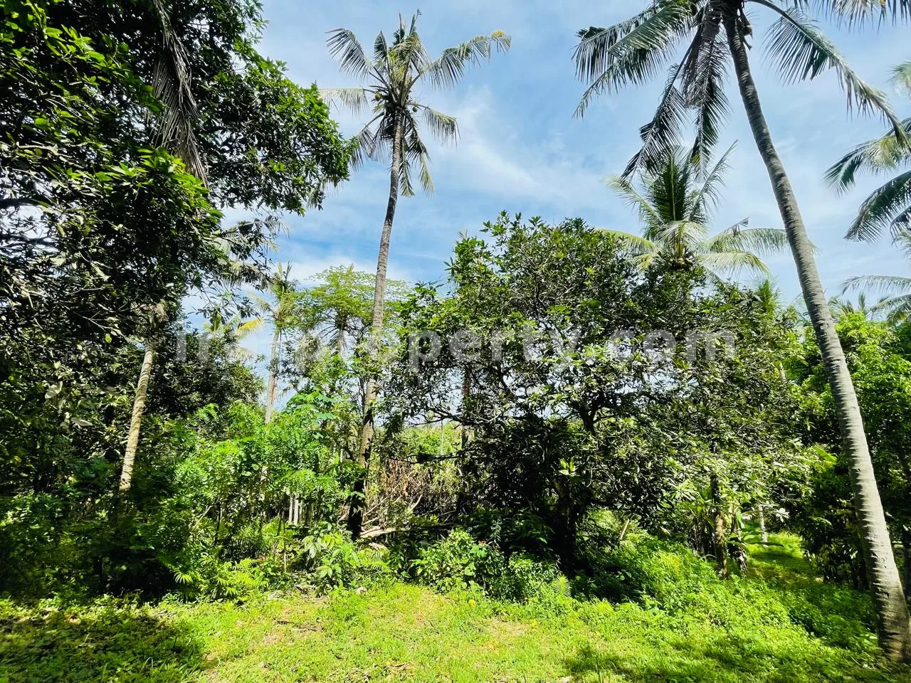 Prime Ocean View Plot in Melase – Strategic Hillside Near Melase Hill Villa Complex