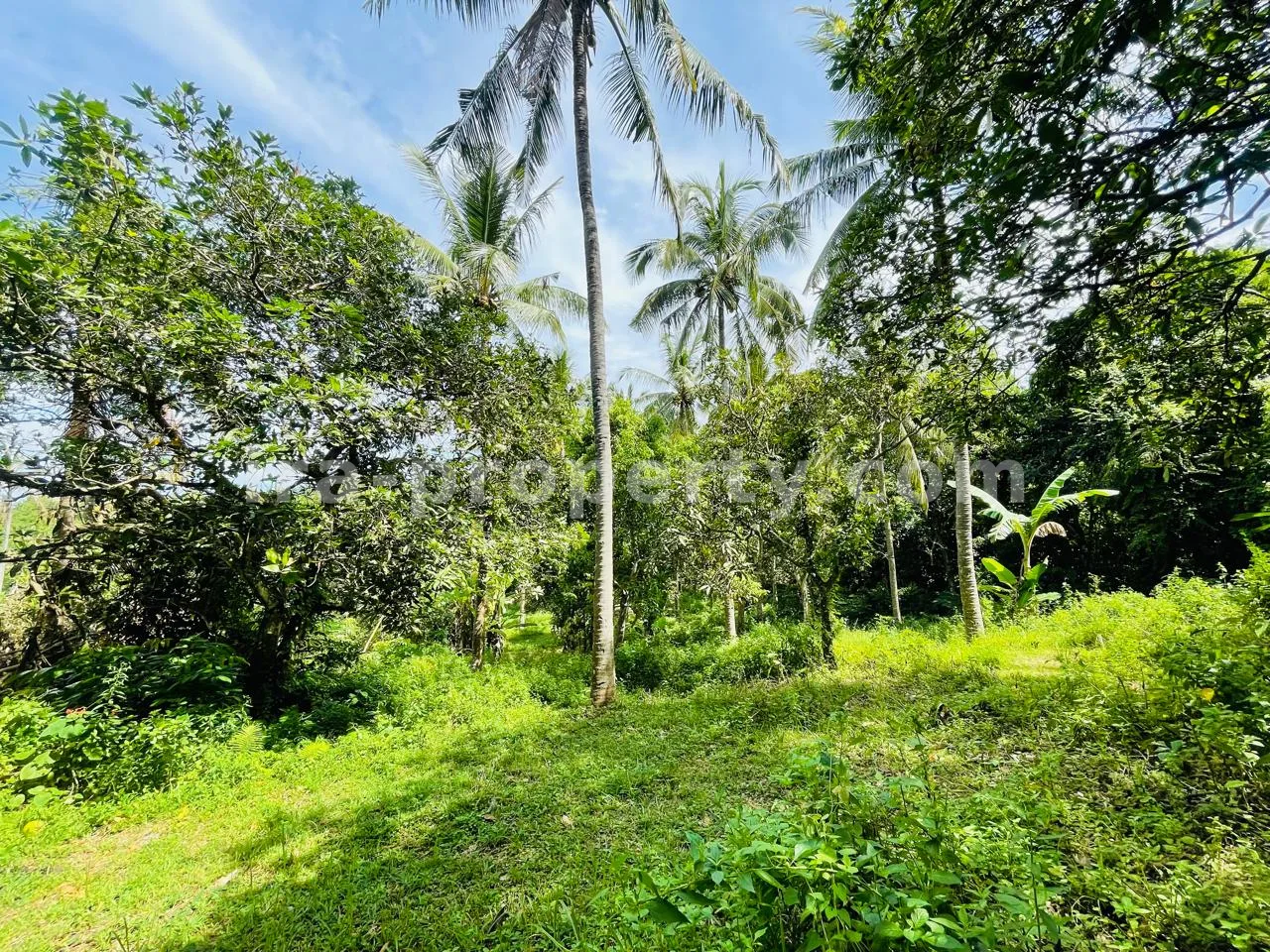 Prime Ocean View Plot in Melase – Strategic Hillside Near Melase Hill Villa Complex