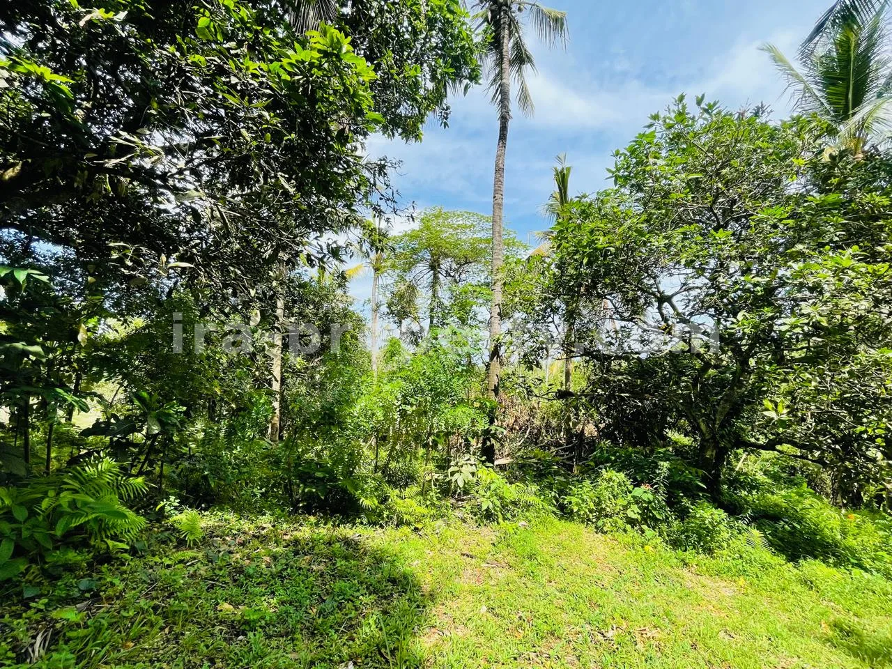 Prime Ocean View Plot in Melase – Strategic Hillside Near Melase Hill Villa Complex