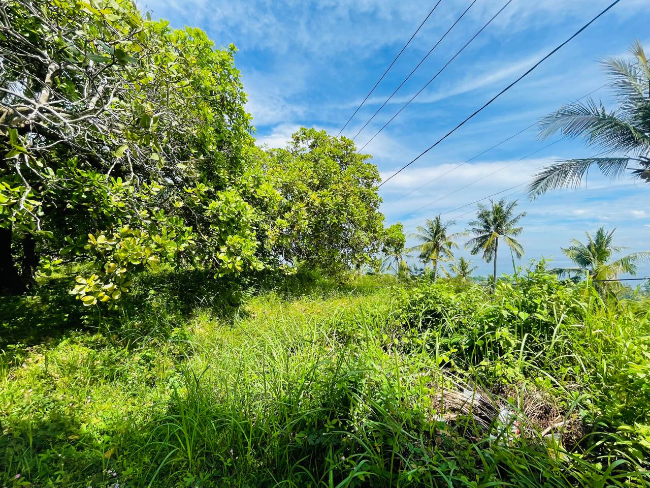 Stunning Ocean-View Villas in Torok – Boutique Luxury Near Kuta Mandalika