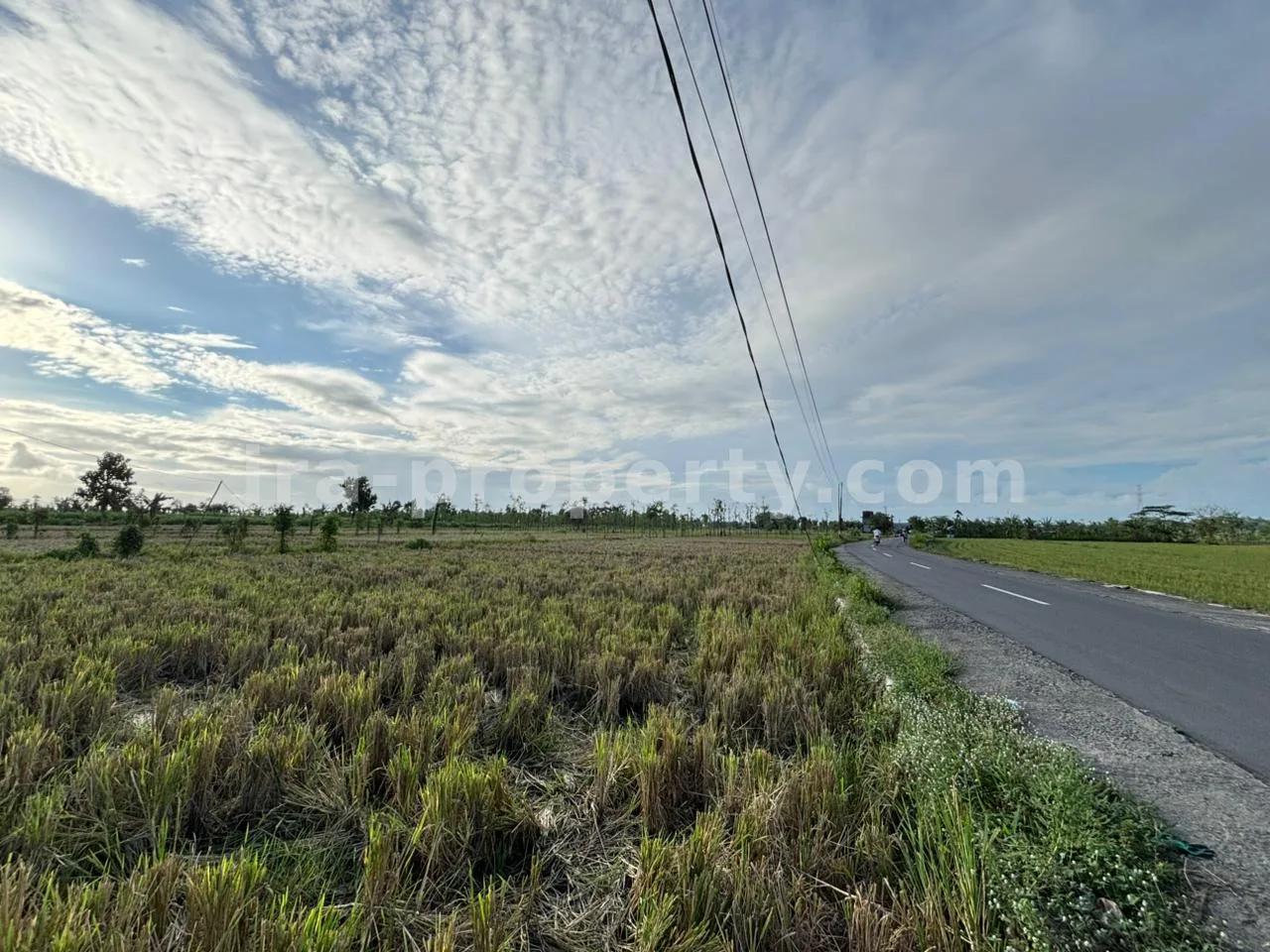 Massive 7-Hectare Strategic Land Holding – Direct Hotmix Road Access Near Lombok International Airport