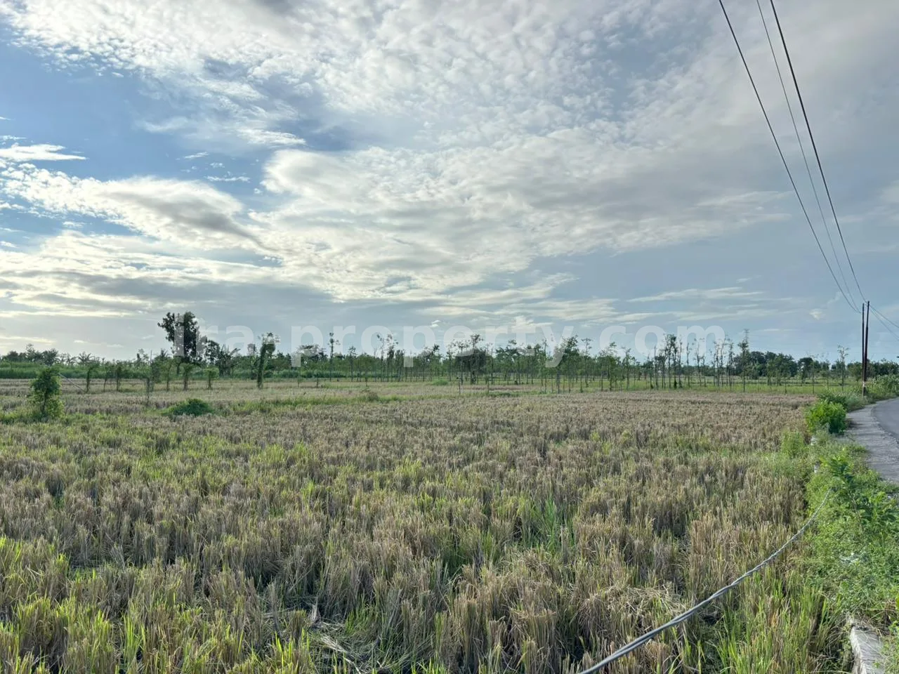 Massive 7-Hectare Strategic Land Holding – Direct Hotmix Road Access Near Lombok International Airport