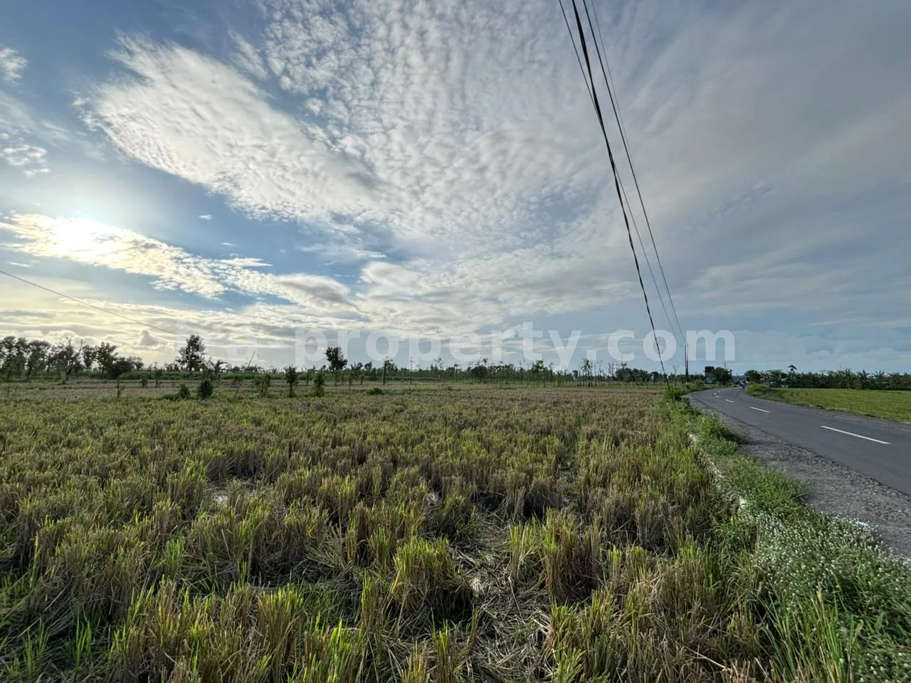 Massive 7-Hectare Strategic Land Holding – Direct Hotmix Road Access Near Lombok International Airport