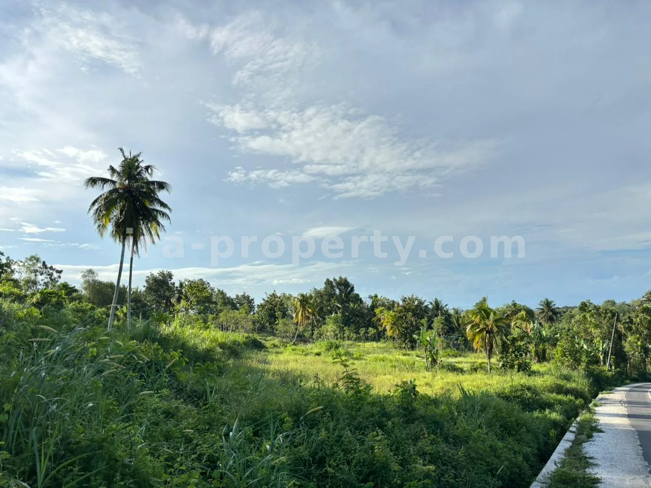 Strategic 50-Are Roadside Plot in Pengembur – Minutes from Lombok Airport & Southern Beaches