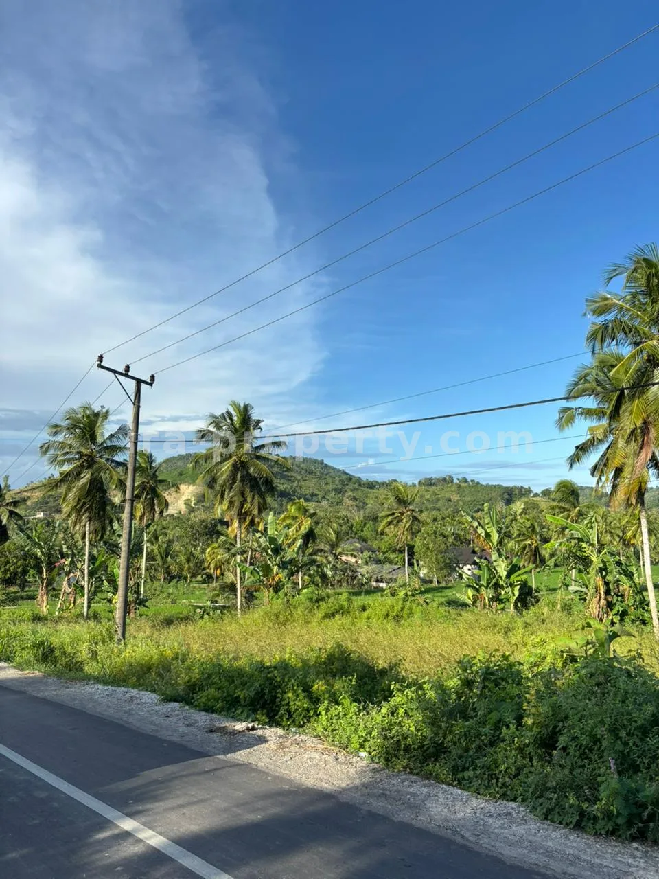 Strategic 50-Are Roadside Plot in Pengembur – Minutes from Lombok Airport & Southern Beaches