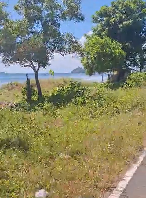 Prime 15-Are Beachfront Plot in Sekotong – Roadside White Sand Beach Near Sundancer Resort