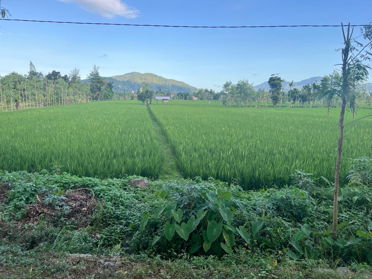 Prime 1.05-Hectare Commercial & Industrial Land – Fronting Gerung-Kuripan Bypass Highway, West Lombok