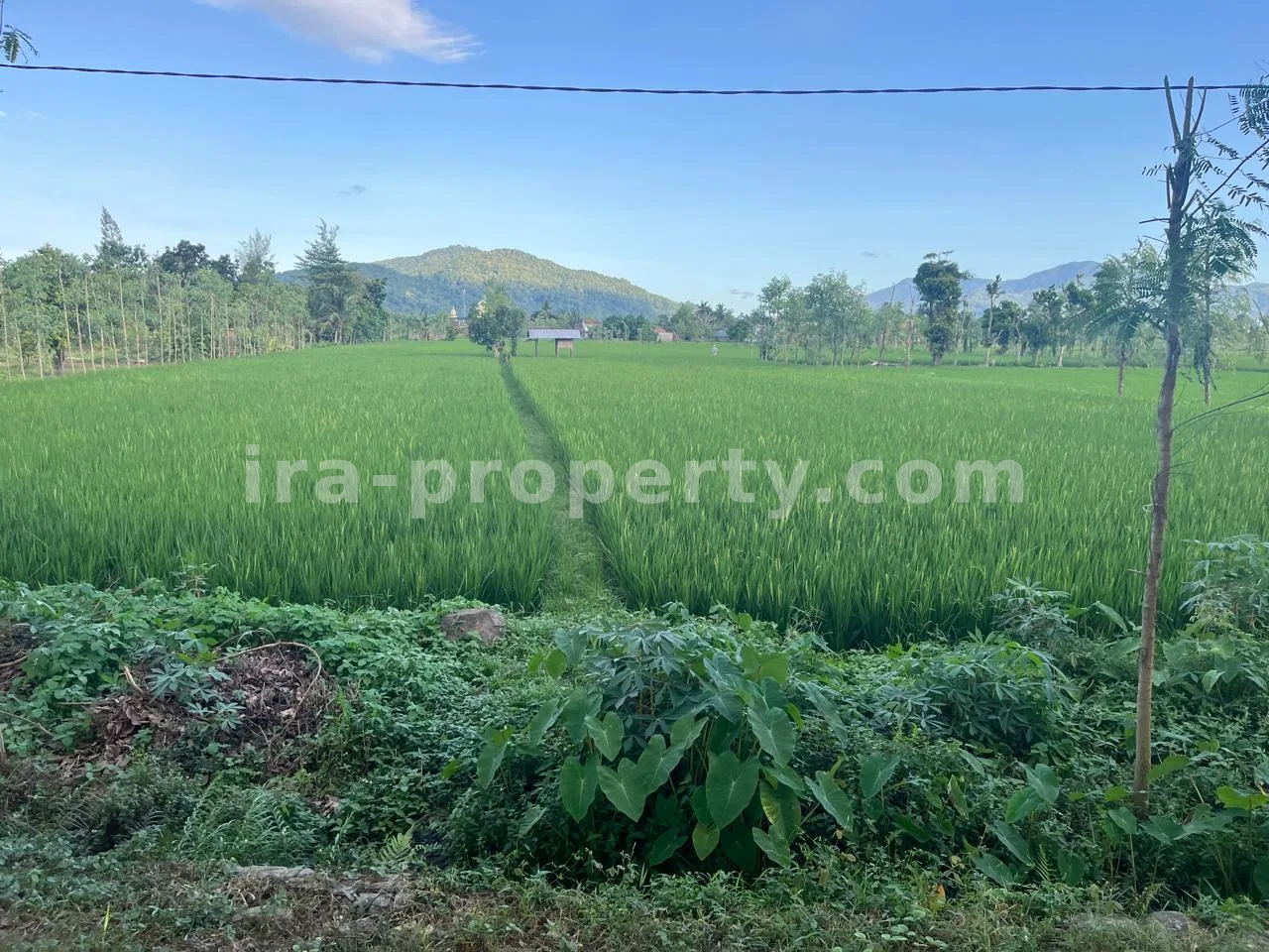 Prime 1.05-Hectare Commercial & Industrial Land – Fronting Gerung-Kuripan Bypass Highway, West Lombok