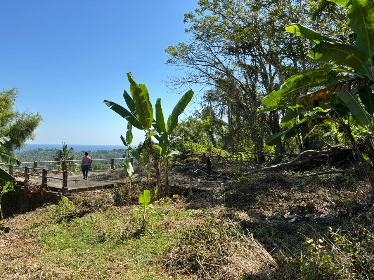 Flexible 20 to 40-Are Beachfront Plot – Pink Zone Tourism Land in Kuranji, West Lombok