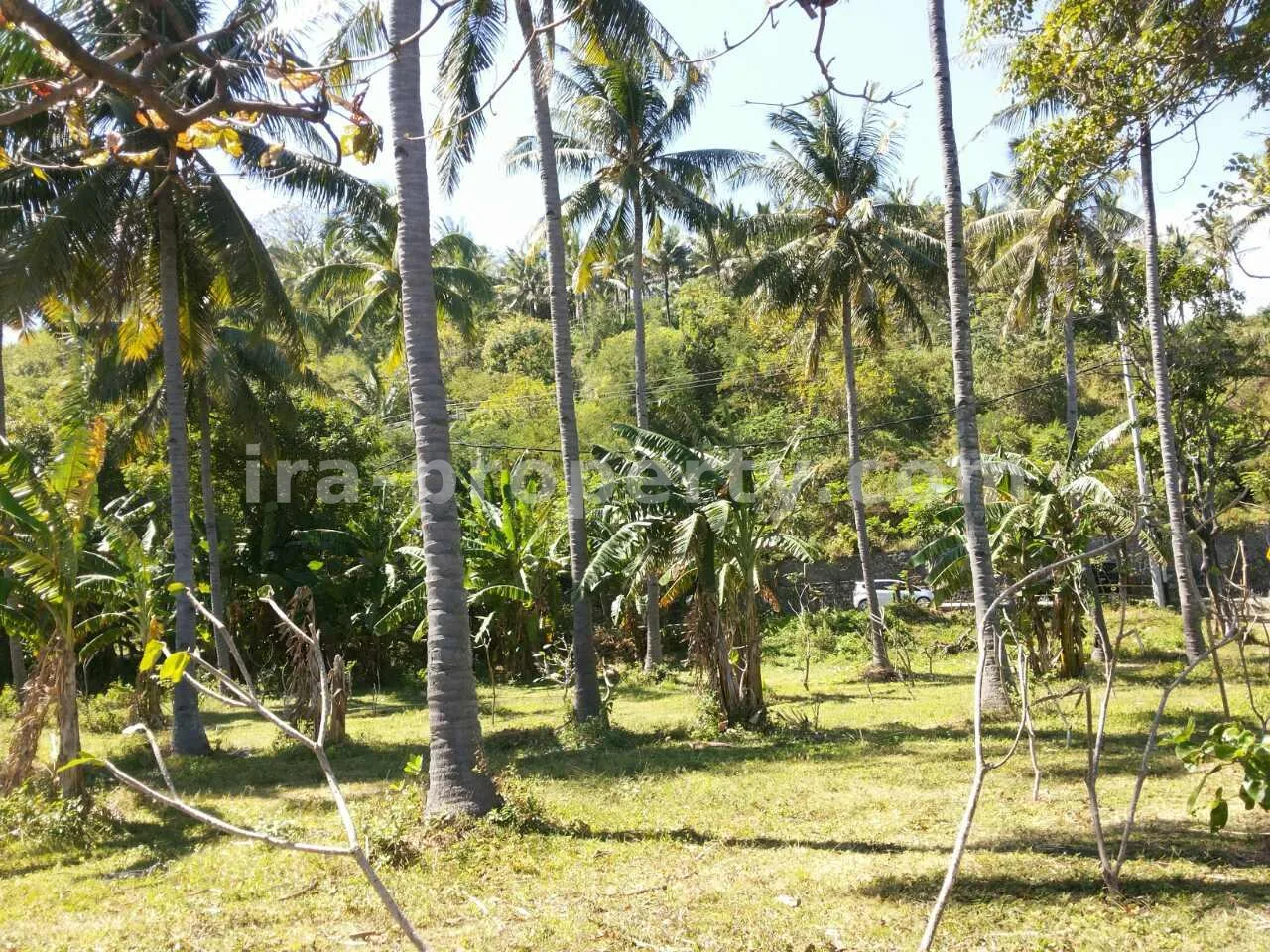 Rare 50-Are Absolute Beachfront Resort Site – Prime Senggigi Highway Corridor (Mount Agung Views)