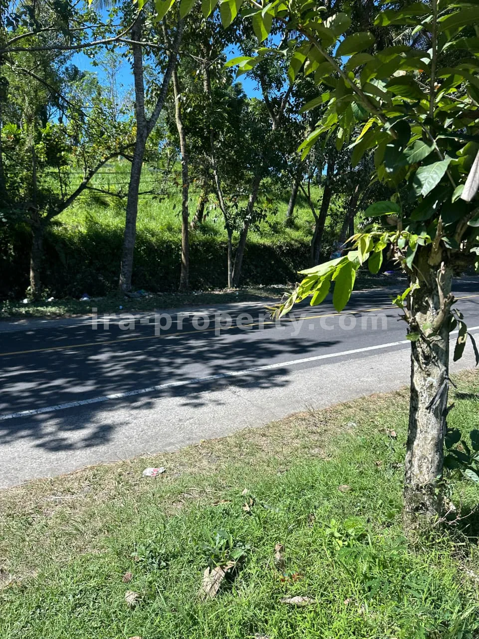 Main Road Land for Sale in Mantang, Central Lombok