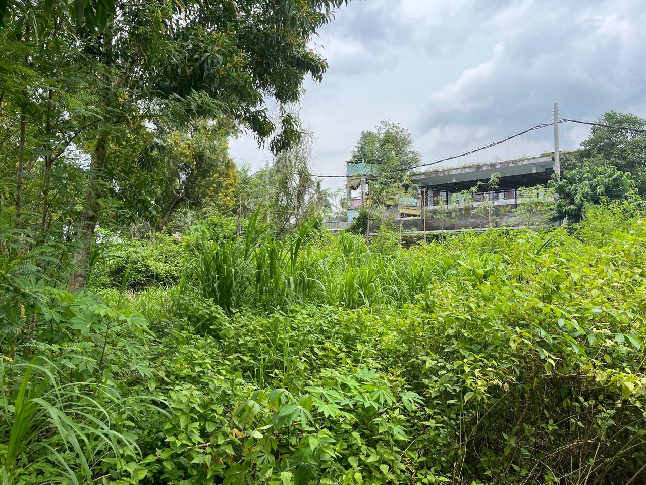 Premium Land for Sale in Central Kuta Mandalika, Lombok – Prime Investment Opportunity