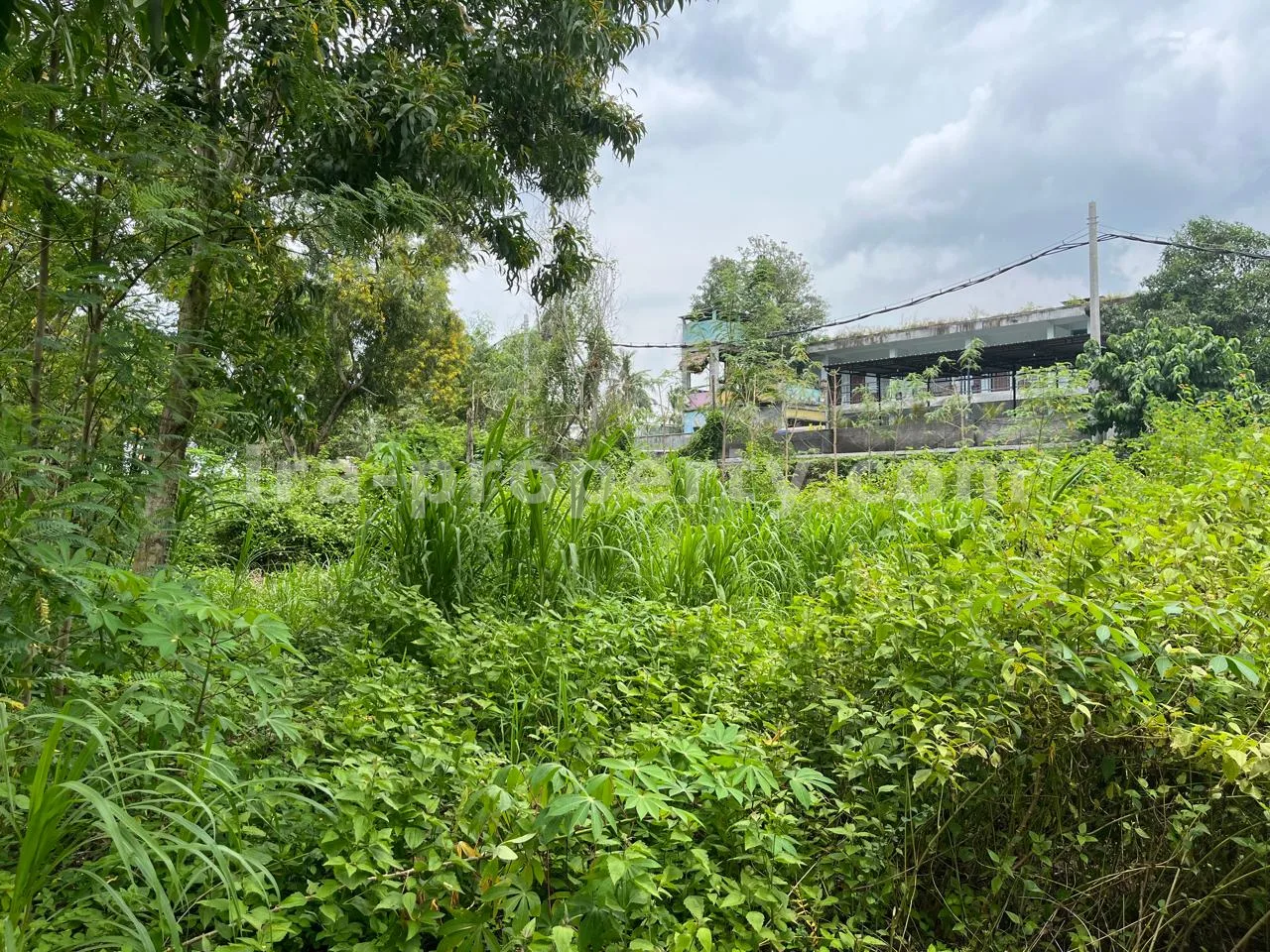 Premium Land for Sale in Central Kuta Mandalika, Lombok – Prime Investment Opportunity